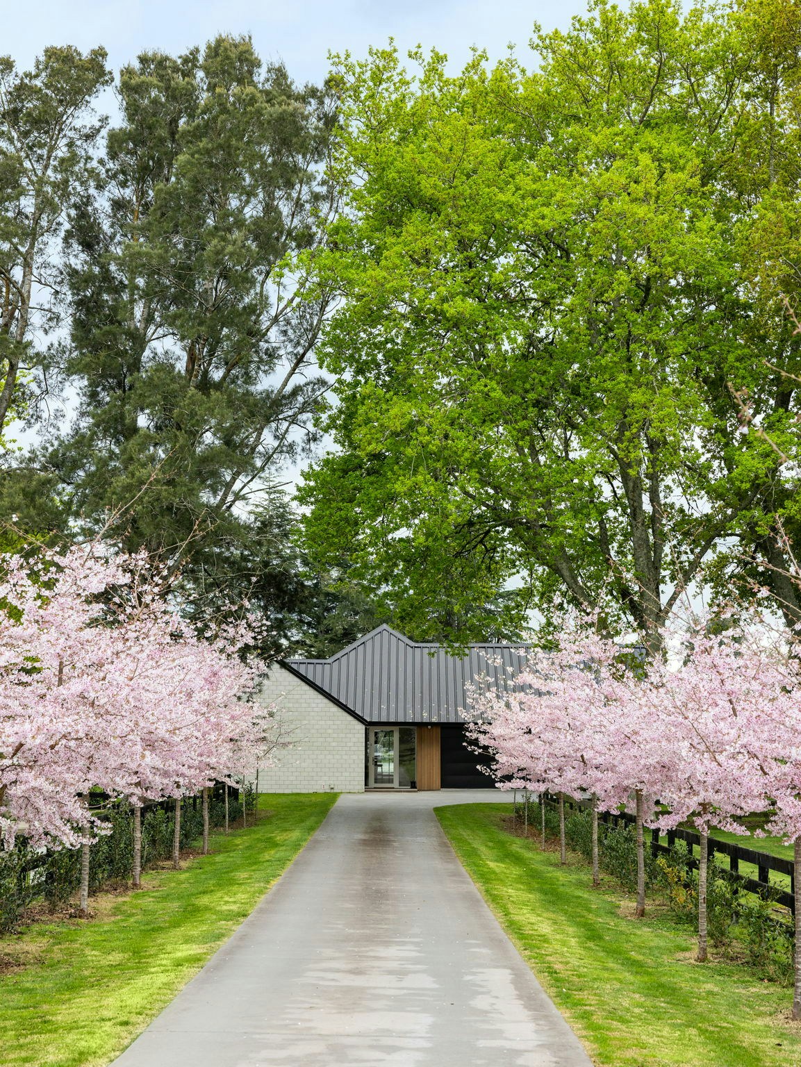 11 web or mls in House AR5 5872