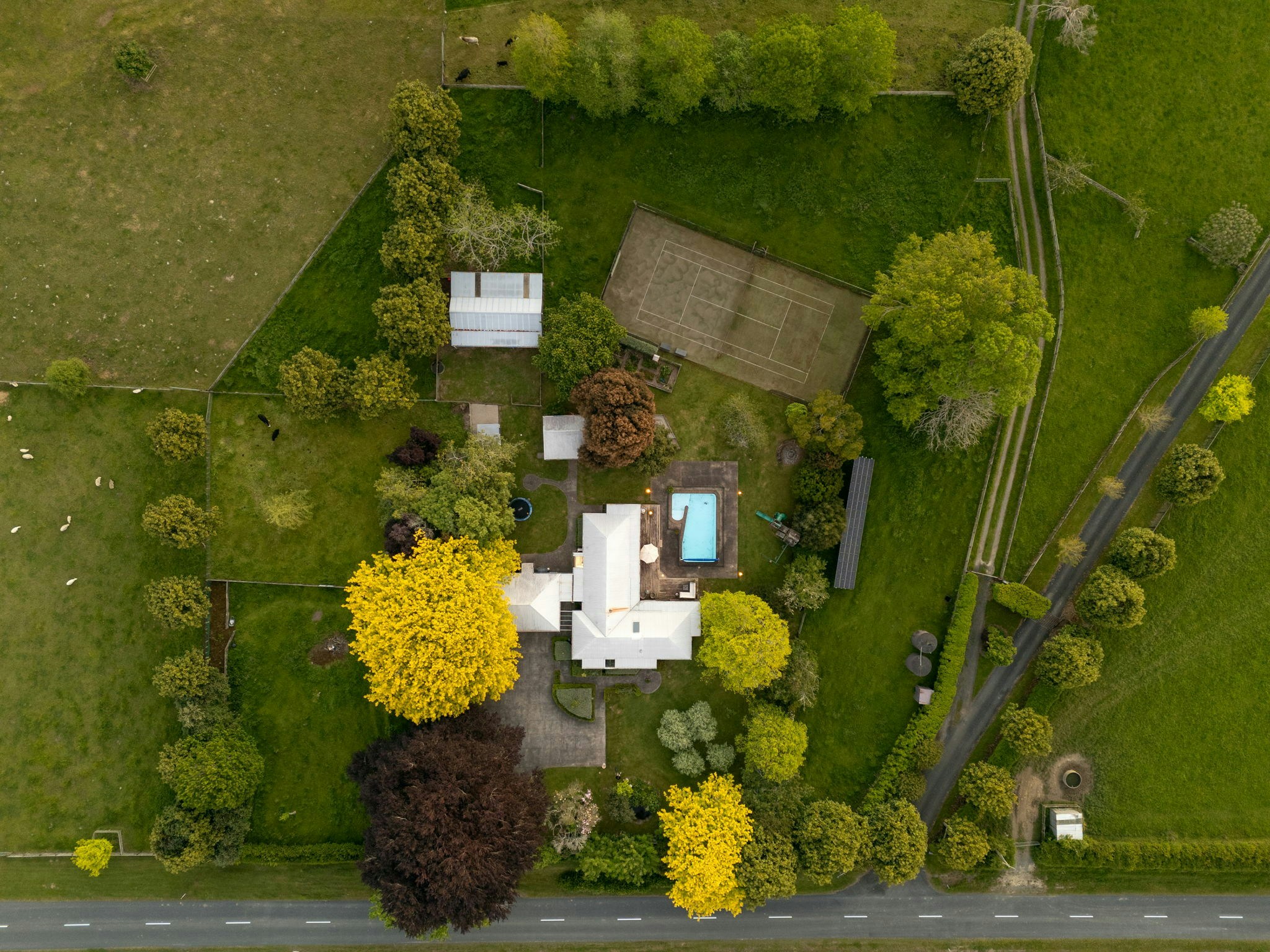 15 web or mls in House DJI 20251104195736 0283 D