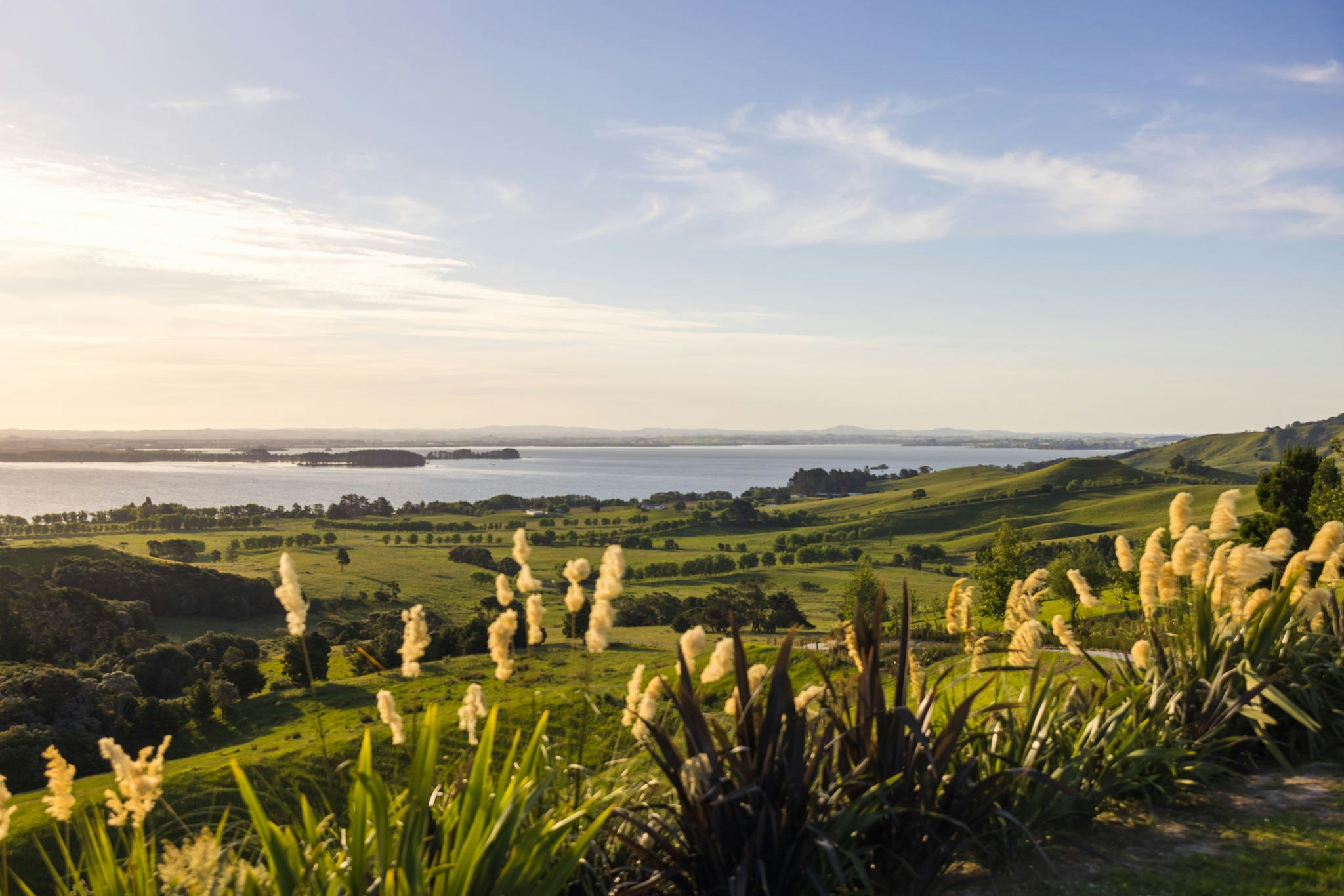 16 web or mls in House AR5 0126