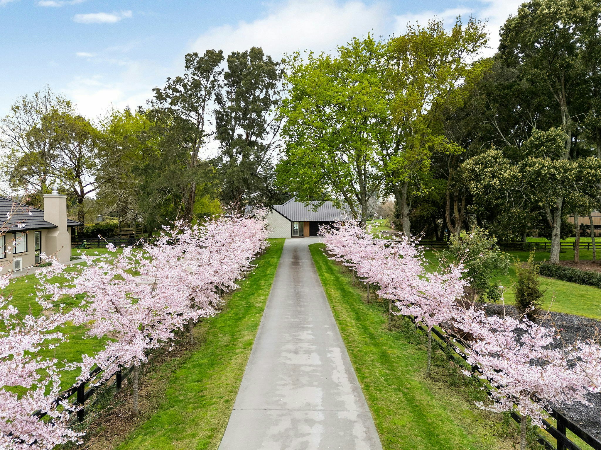 16 web or mls in House DJI 20240913122209 0534 D