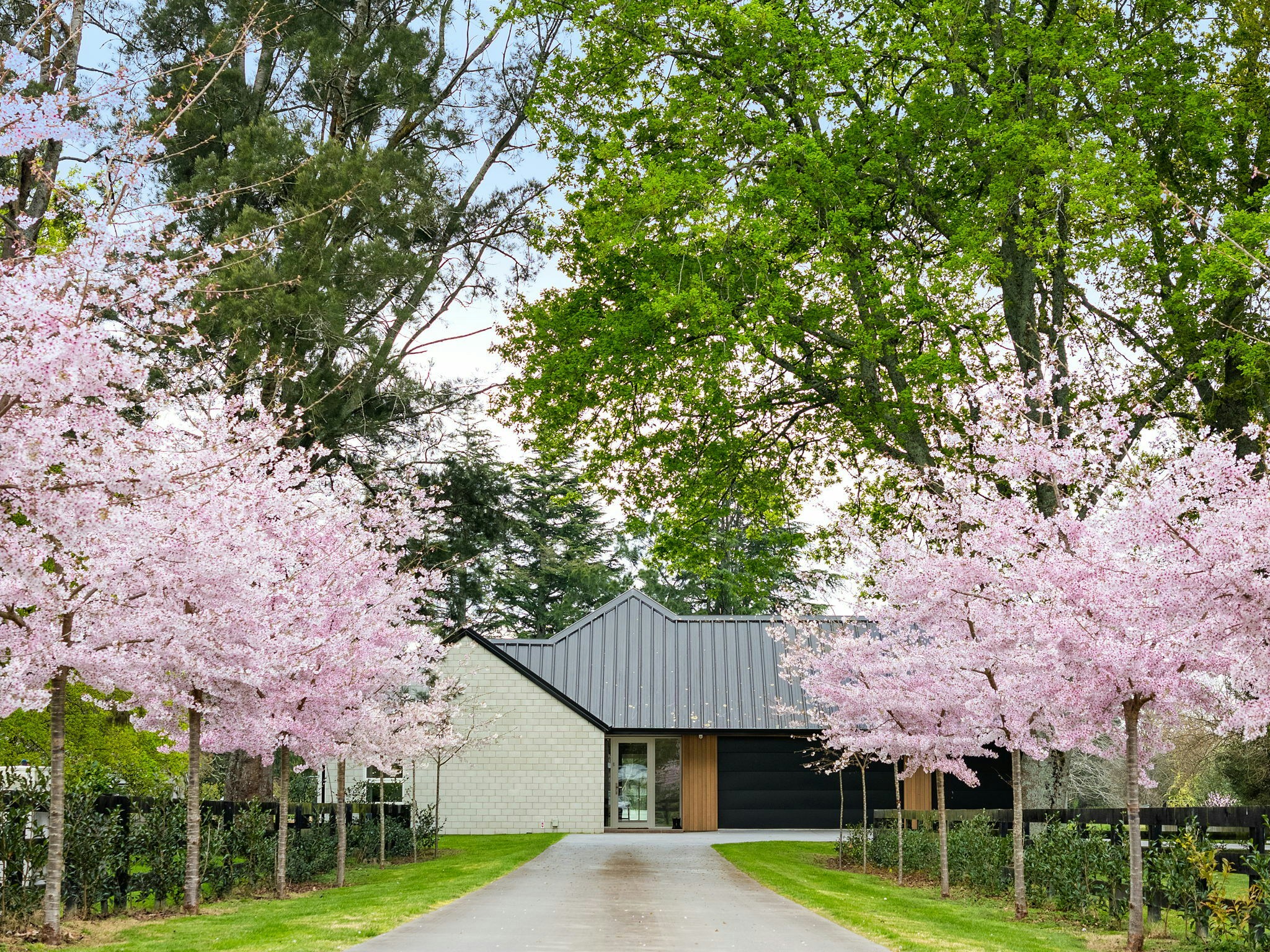 20 web or mls in House DJI 20240913122622 0561 D