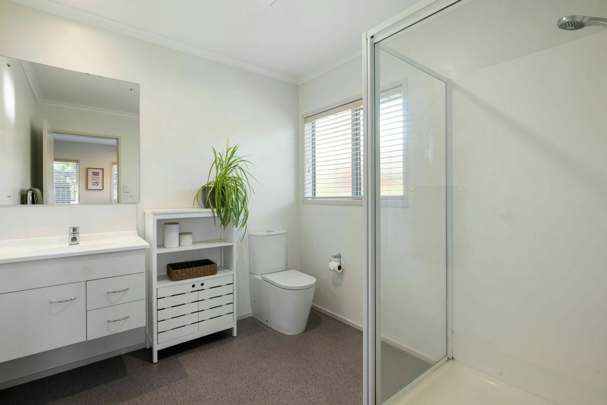 29 web or mls in House SR5 0595