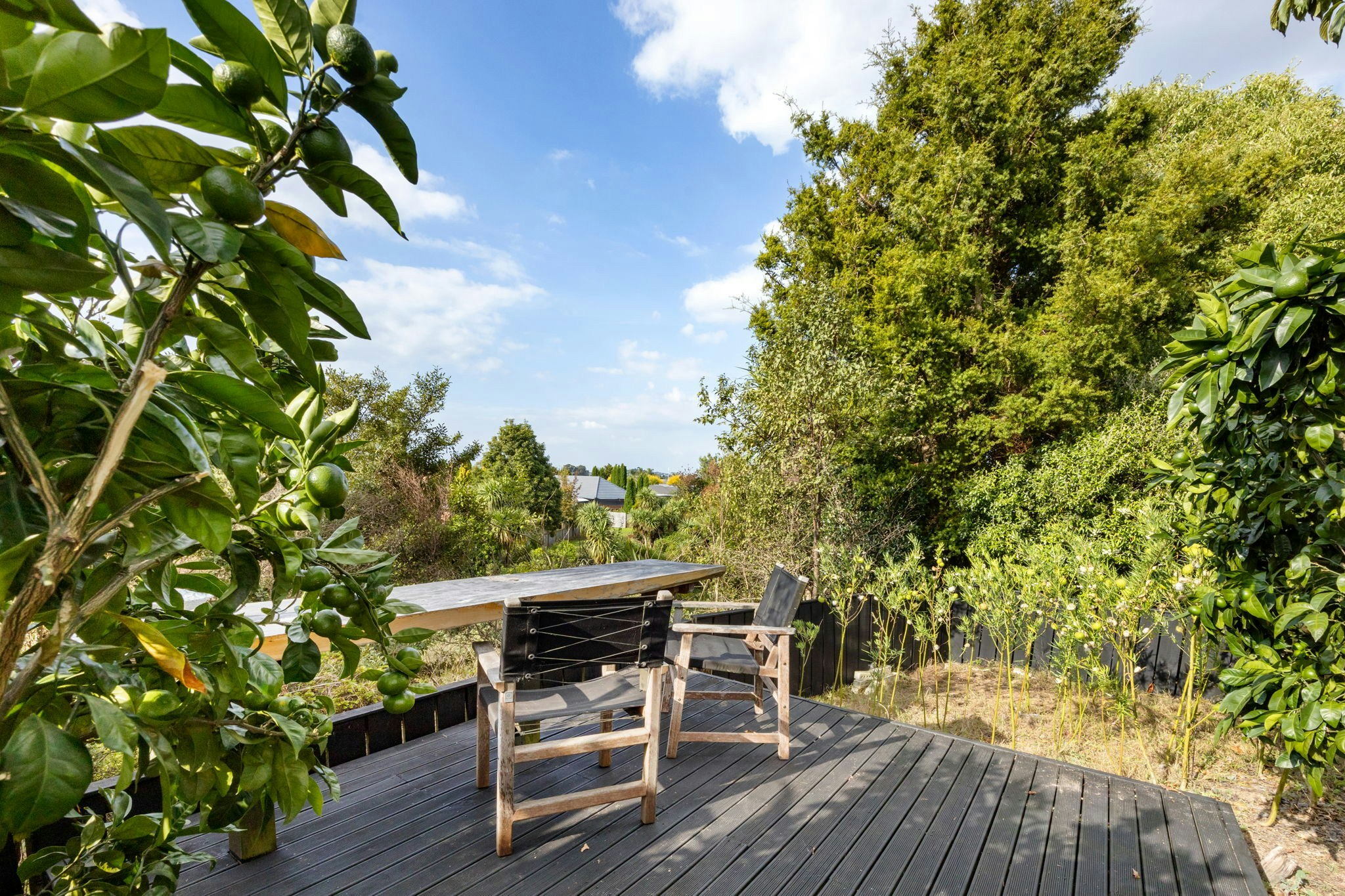 3 web or mls in House AR0 3052