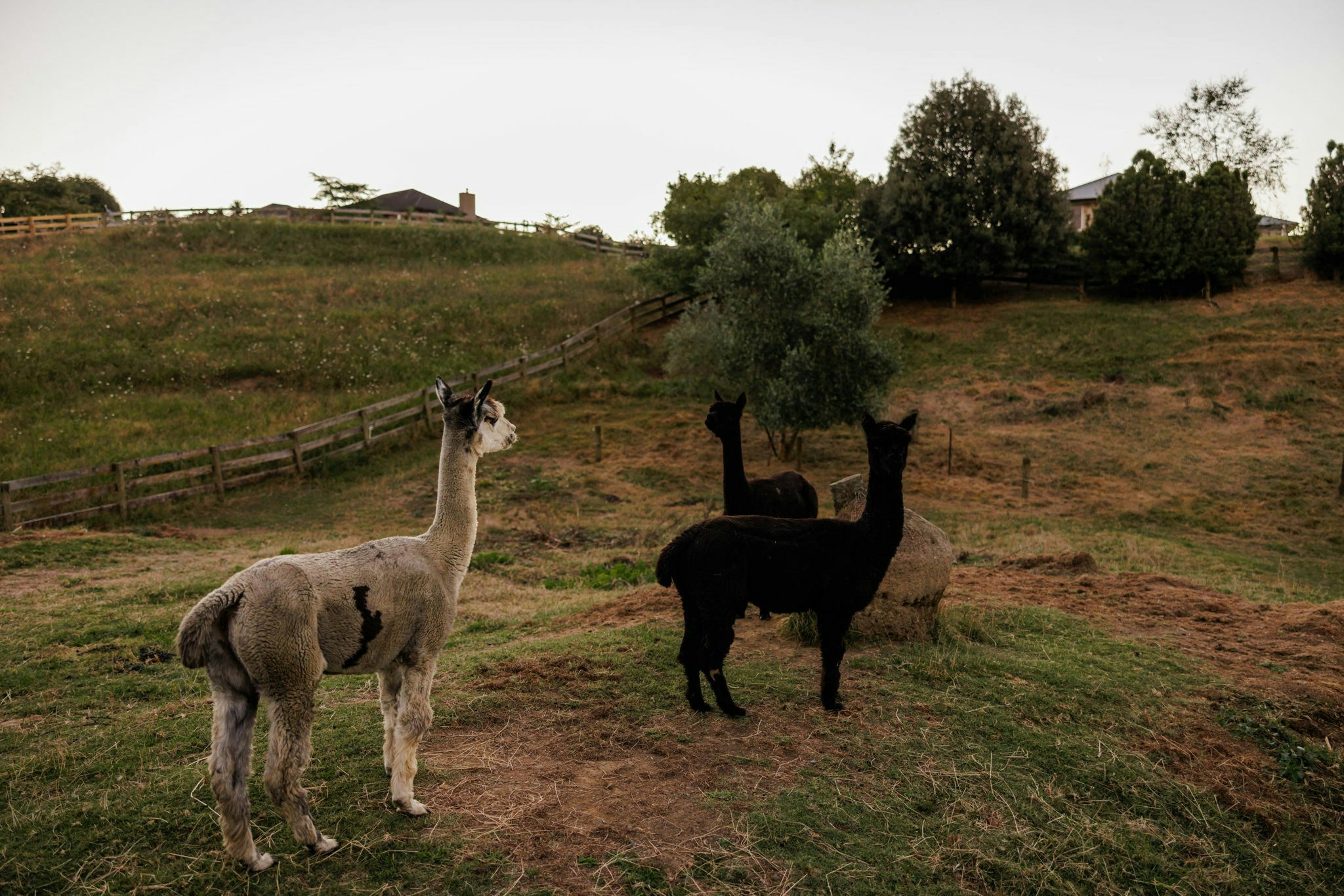 34 web or mls in House AR5 1825