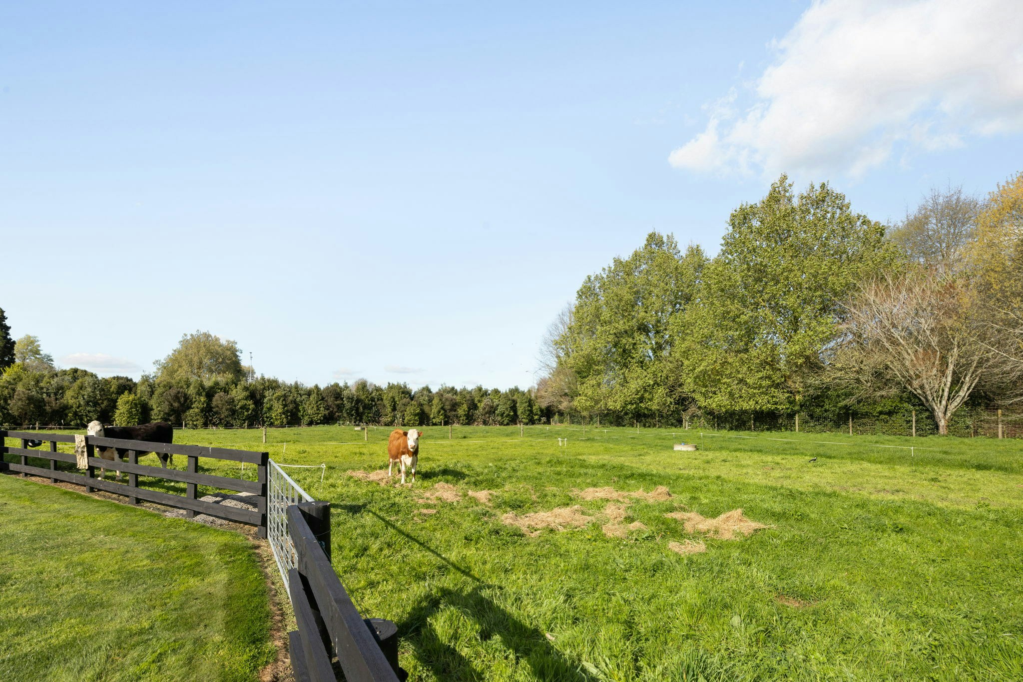 39 web or mls in House AR5 5706