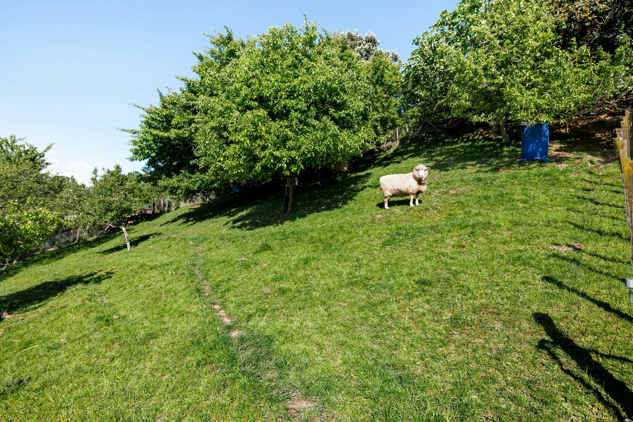 45 web or mls in House SR5 9315