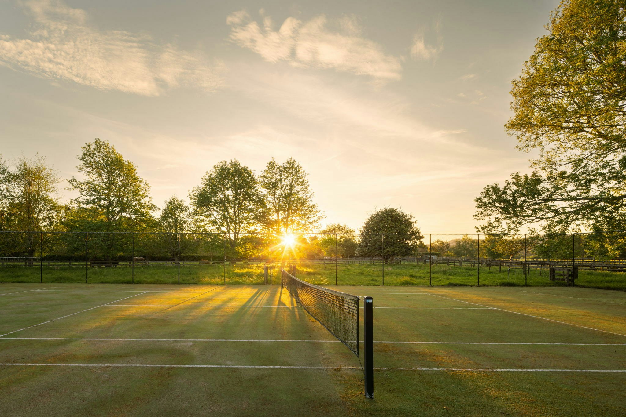 6 web or mls in House AR5 0208